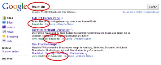 Screenshot der Suchergebnisse bei Google für haupt.de